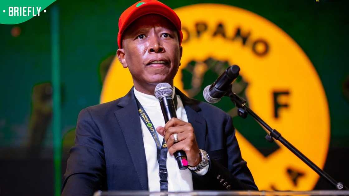 Malema