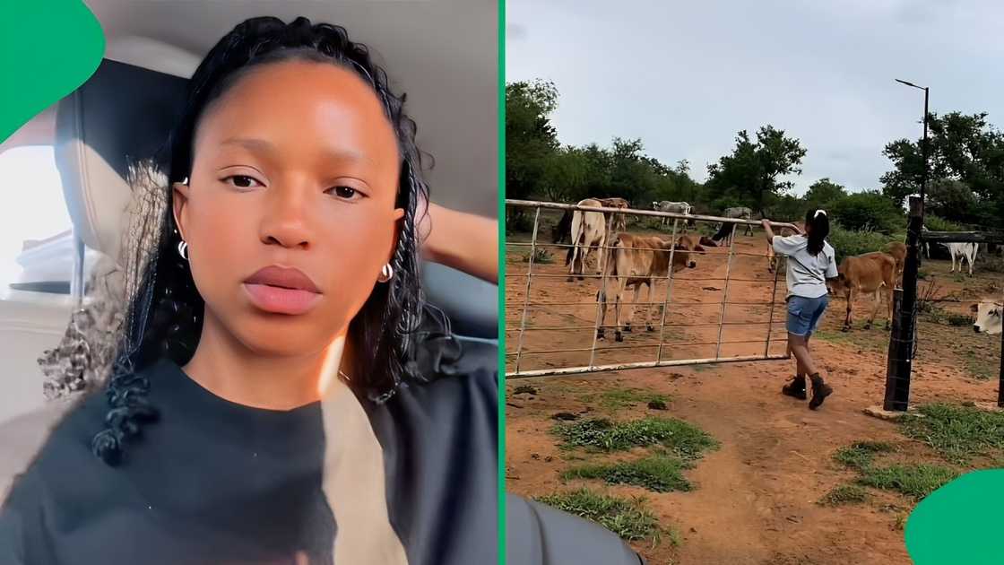 A TikTok video shows a lady unveiling a day in her life as a farm girl.