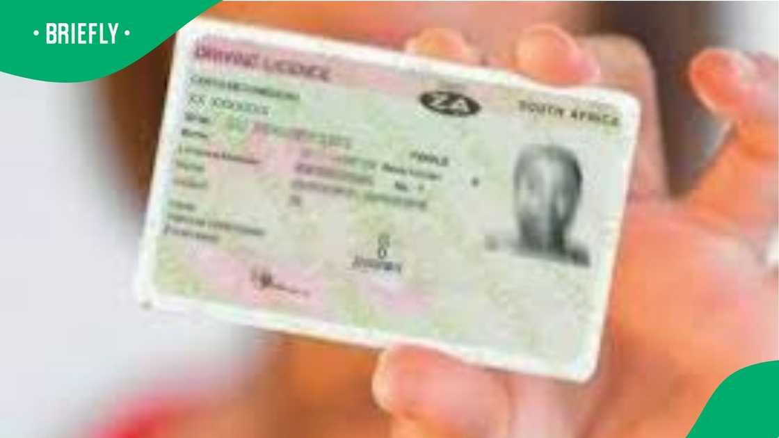 SA drivers licence