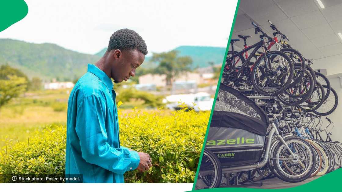 Man amazed by expensive bicycle Man amazed by expensive bicycle