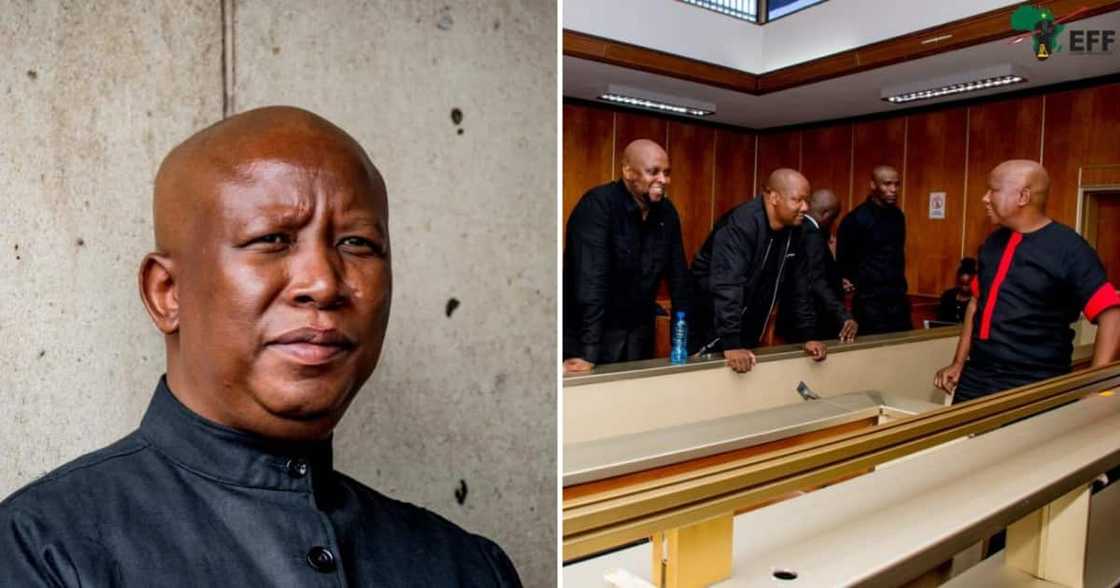 EFF offered the support to Julius Malema EFF offered the support to Julius Malema