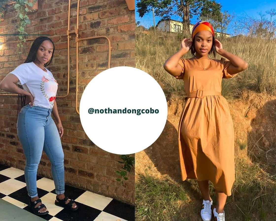 Nothando Ngcobo's salary Nothando Ngcobo's salary