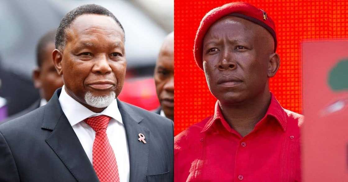 Kgalema Motlanthe, Julius Malema, politicians, Pedi people, South African tribe Kgalema Motlanthe, Julius Malema, politicians, Pedi people, South African tribe