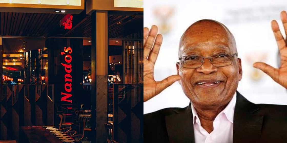 Nando’s, Jacob Zuma, Jail sentence Nando’s, Jacob Zuma, Jail sentence