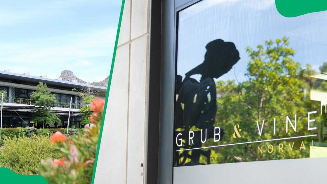 Grub & Vine Norval is one of the best picnic spots in Cape Town