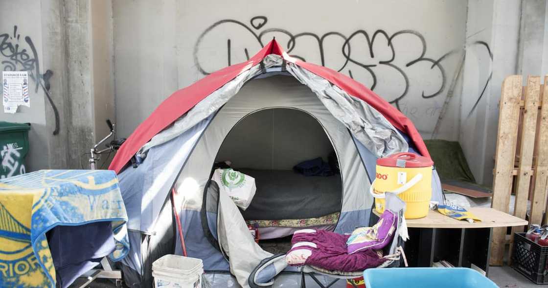 Cape Town, Fine, Homeless People, Refuse, Shelter Cape Town, Fine, Homeless People, Refuse, Shelter