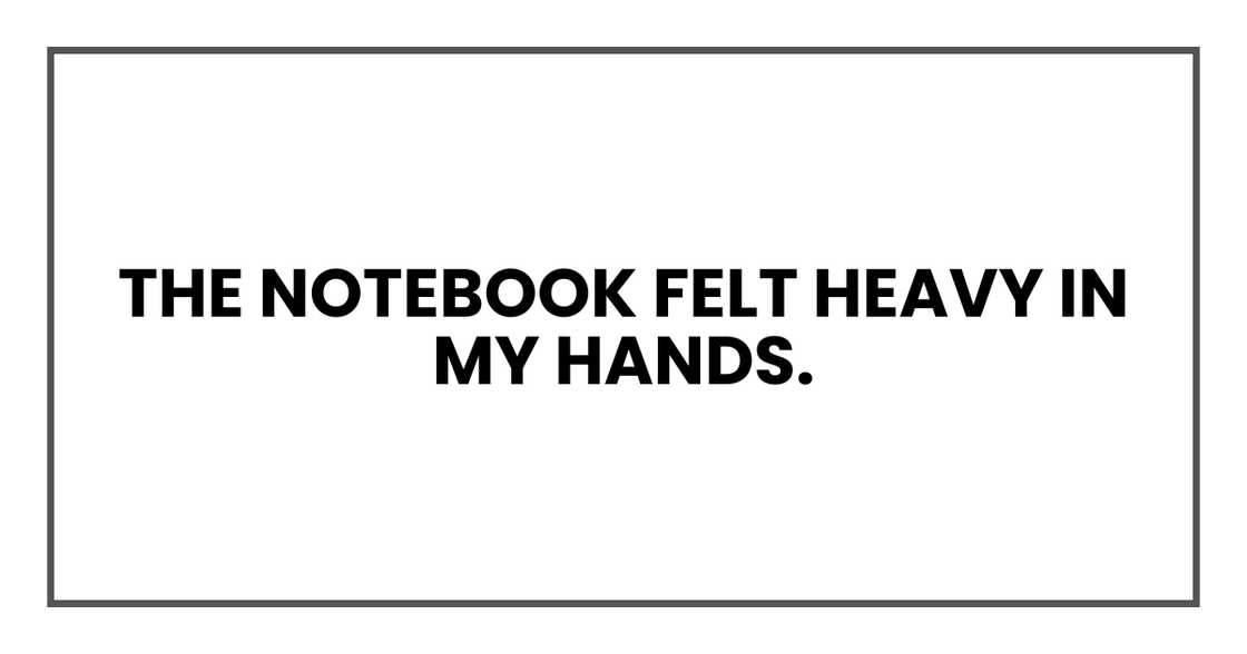 The notebook felt heavy in my hands. The notebook felt heavy in my hands.