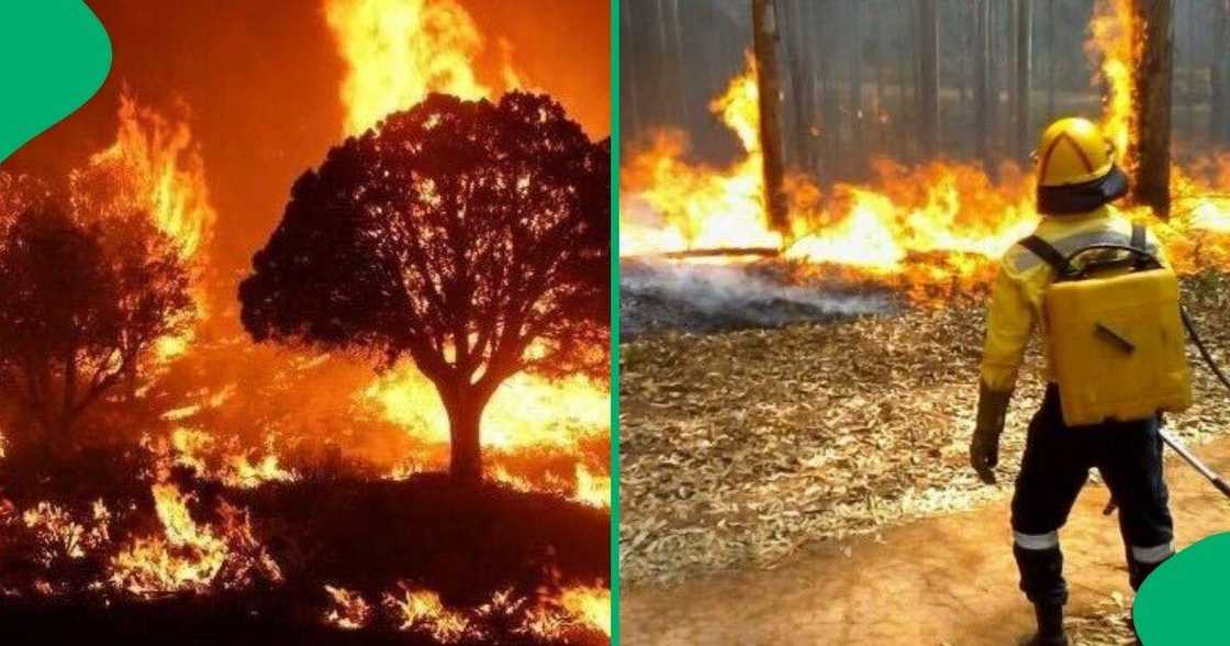 New veld fire warning New veld fire warning