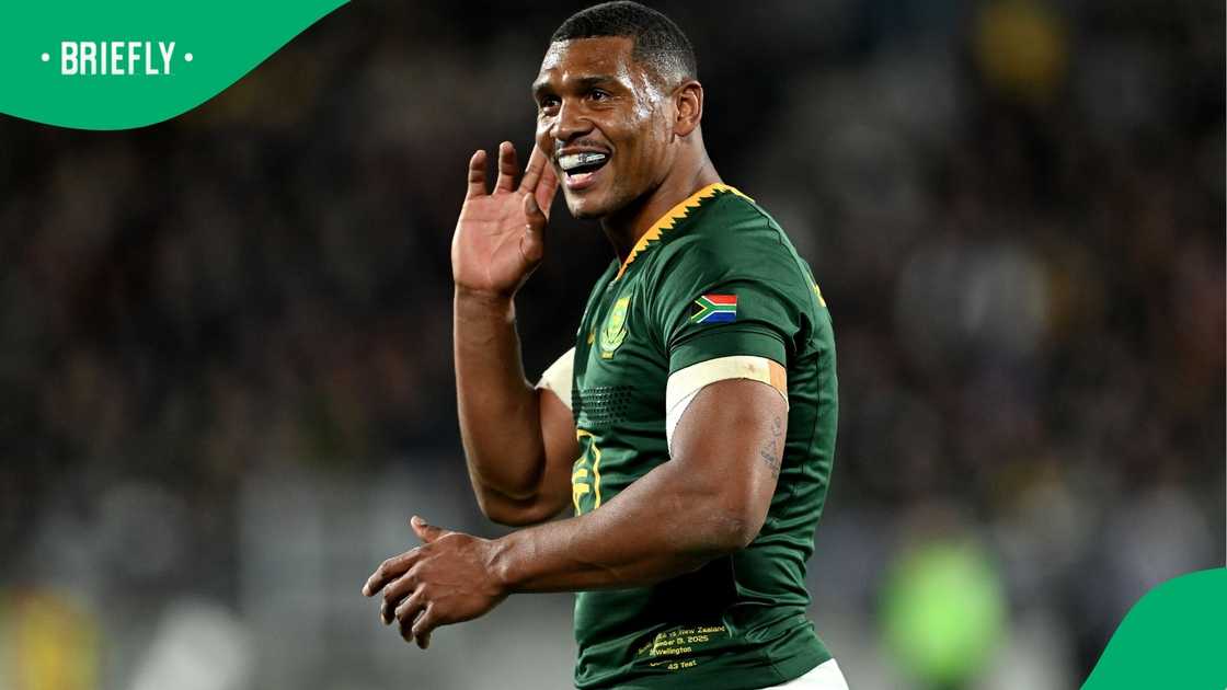 Damian Willemse, Springboks, South Africa, All Blacks, New Zealand. Damian Willemse, Springboks, South Africa, All Blacks, New Zealand.
