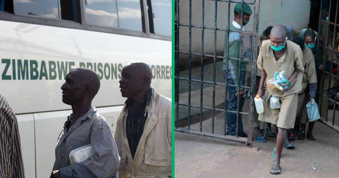 Thousands of prisoners have been freed in Zimbabwe. Thousands of prisoners have been freed in Zimbabwe.