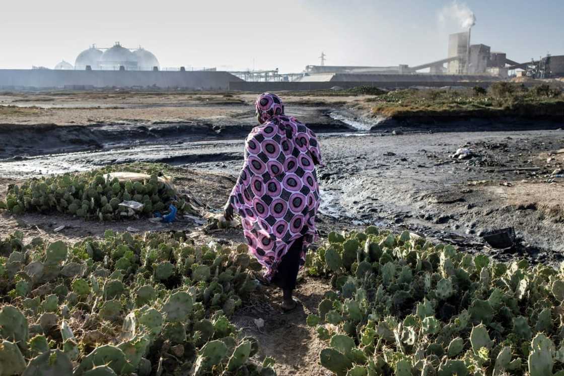 330 major firms want measures to force businesses destroying the natural world 330 major firms want measures to force businesses destroying the natural world