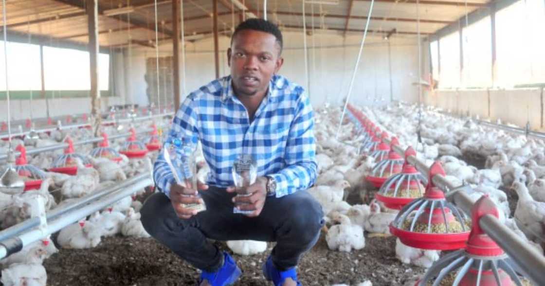 Farmer encourages aspiring farm owners to stop making excuses Farmer encourages aspiring farm owners to stop making excuses