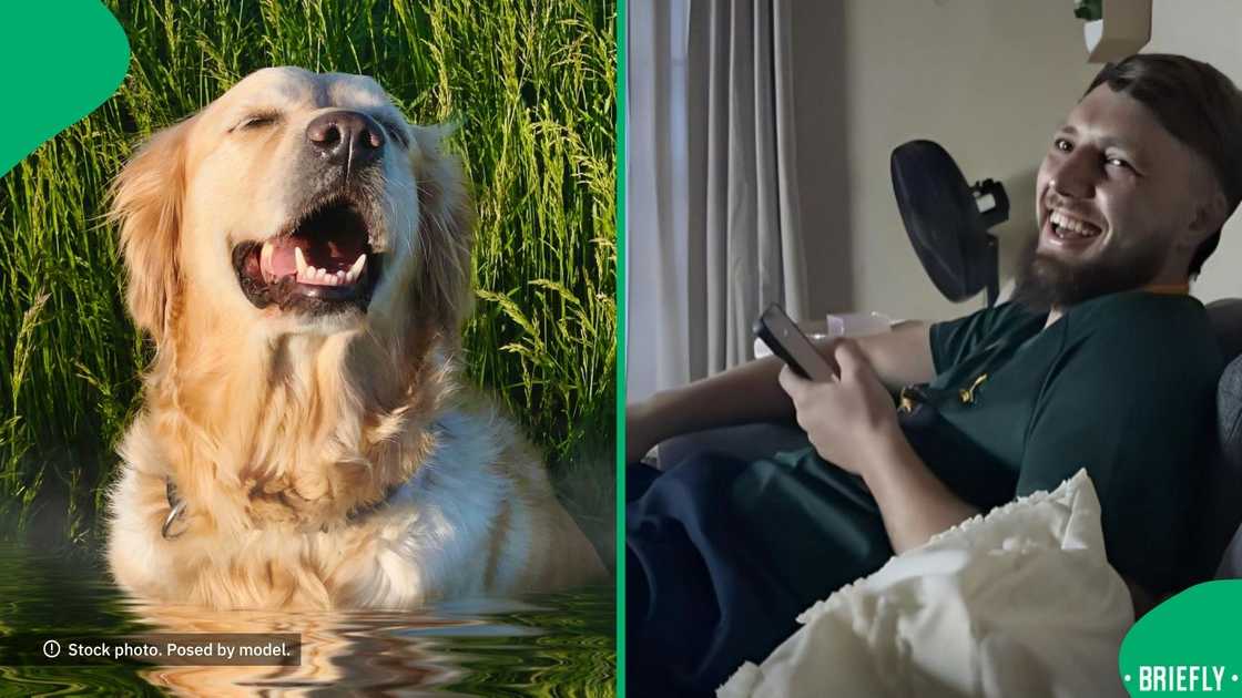 A man jokingly invited his parents to his dog's baptism.