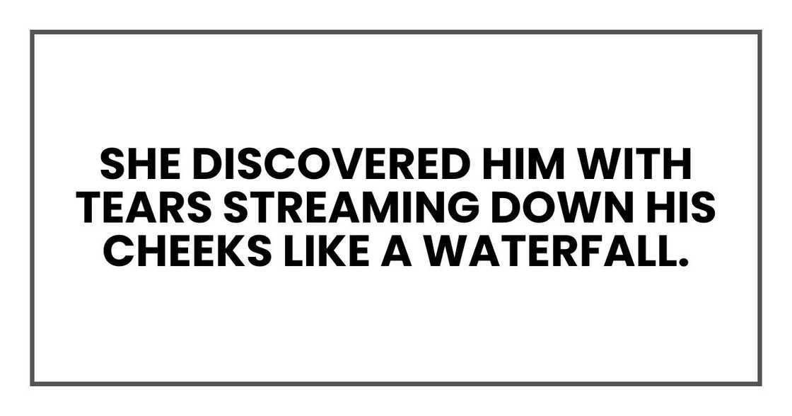 she discovered him with tears streaming down his cheeks like a waterfall. she discovered him with tears streaming down his cheeks like a waterfall.