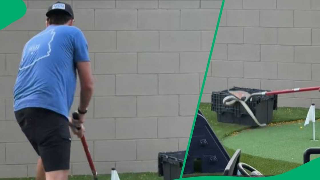 Man tries to deal snake