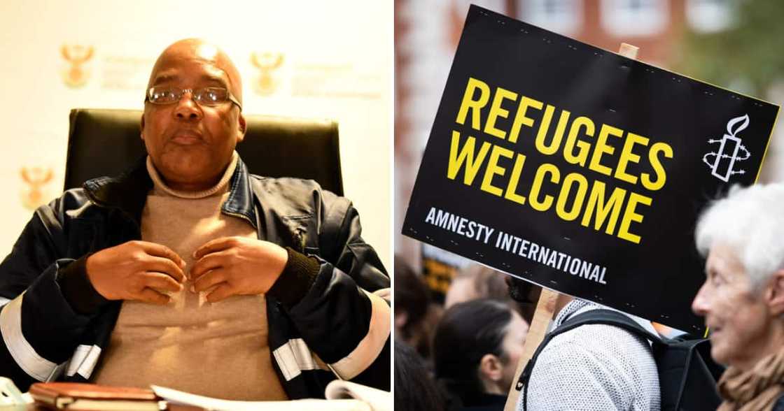 22 Afghan refugees to be granted asylum transit visas 22 Afghan refugees to be granted asylum transit visas