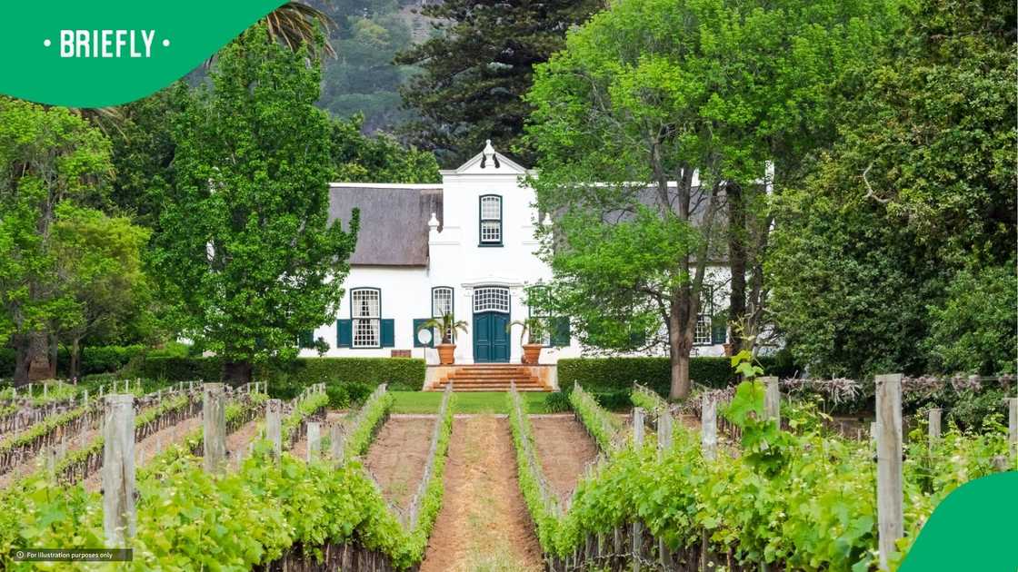 Limpopo farm attack horrifies SA Limpopo farm attack horrifies SA