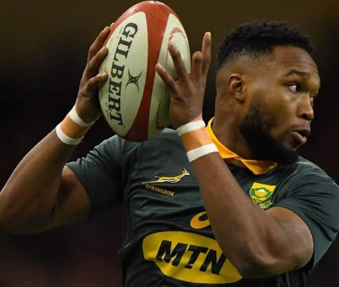 lukhanyo am south africa rugby lukhanyo am south africa rugby