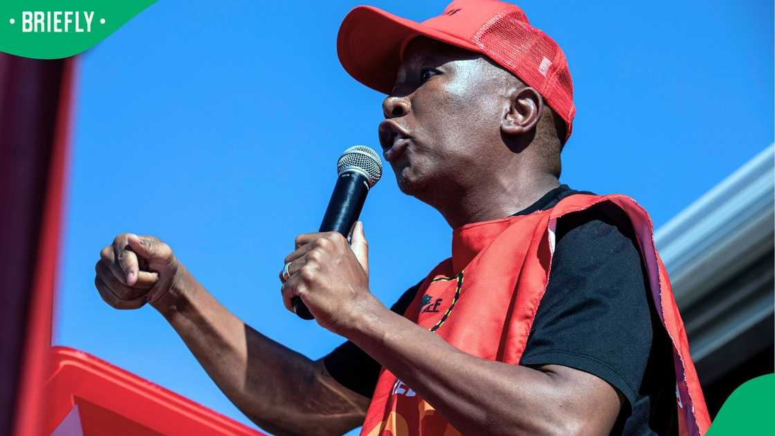 Julius Malema criticised President Cyril Ramaphosa