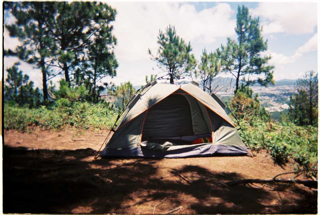 Campsites in Kruger National Park can be affordable