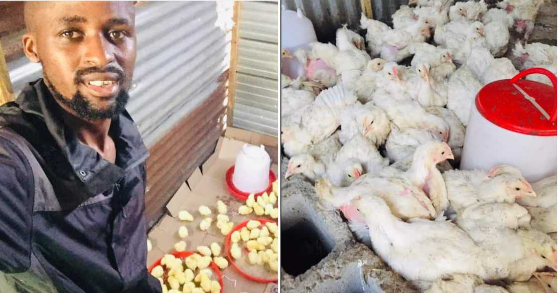 A gent told the tale of his journey into farming and the lessons learned. A gent told the tale of his journey into farming and the lessons learned.