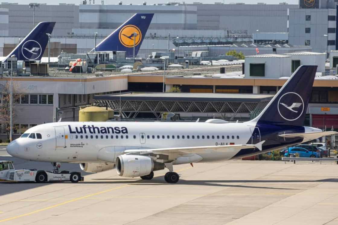 An Airbus A319 plane of the German Company Lufthansa stands at Frankfurt Airport; Lufthansa was named in a new Harvard report about social media greenwashing by fossil fuel interests