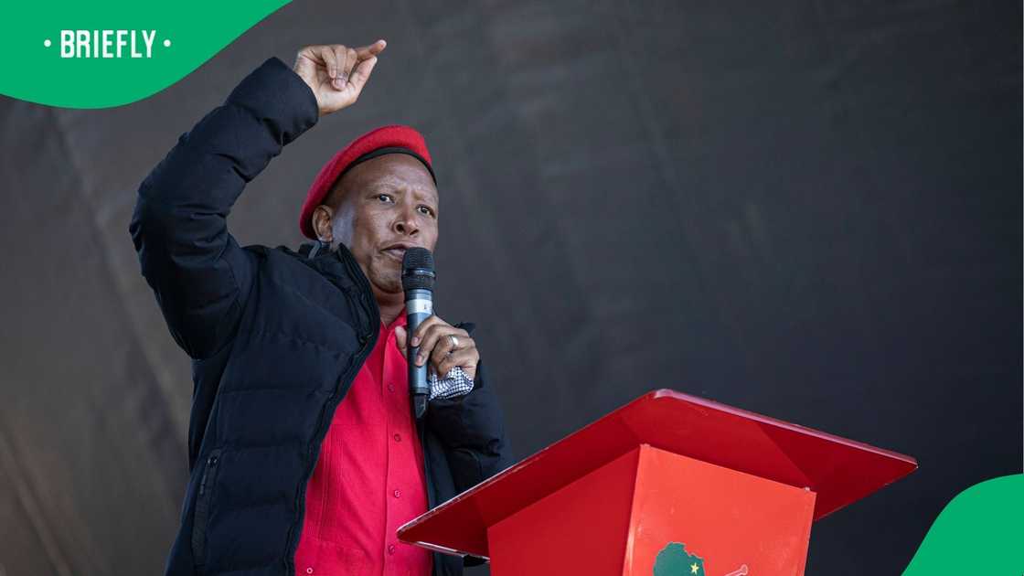 US President Donald Trump showed President Cyril Ramaphosa a video of EFF leader Julius Malema singing “Kill the Boer” during a recent meeting US President Donald Trump showed President Cyril Ramaphosa a video of EFF leader Julius Malema singing “Kill the Boer” during a recent meeting