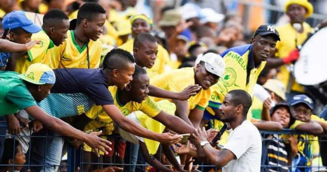 Mamelodi Sundowns' fans are excited ahead of the Champions League match. Mamelodi Sundowns' fans are excited ahead of the Champions League match.