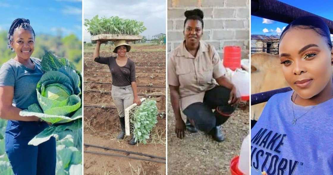 Inspiring Mzansi Female Farmers Inspiring Mzansi Female Farmers