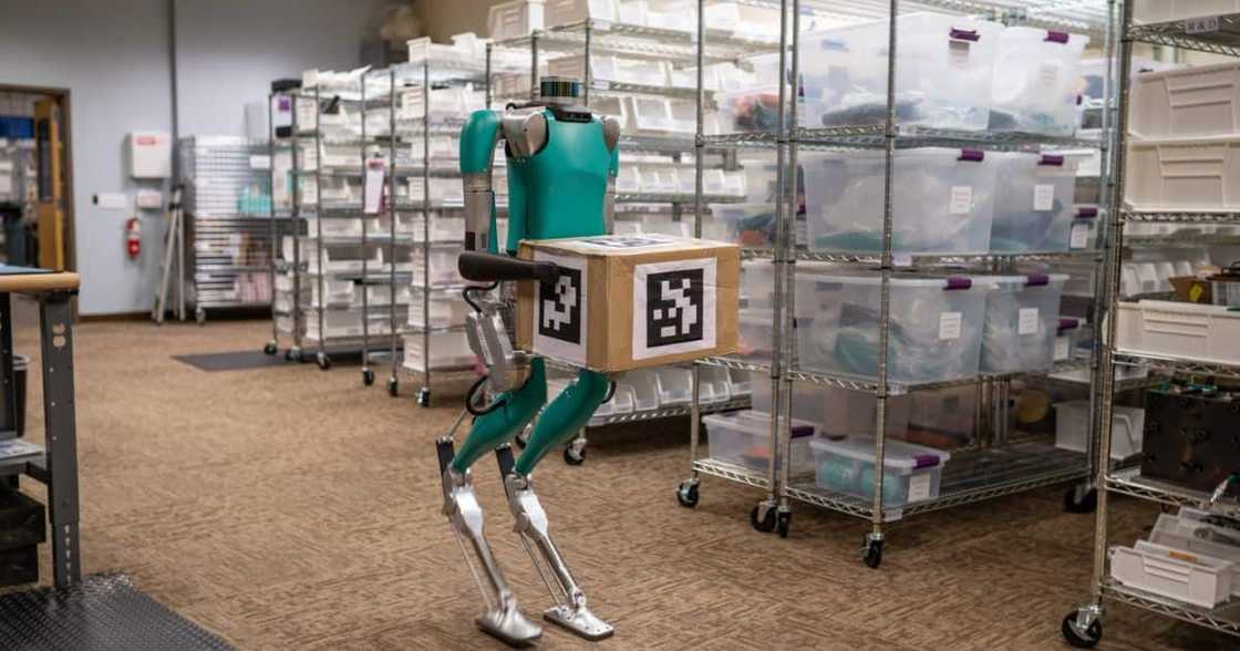 ford, cars, tech, goodwood festival of speed, united kingdom ford, cars, tech, goodwood festival of speed, united kingdom