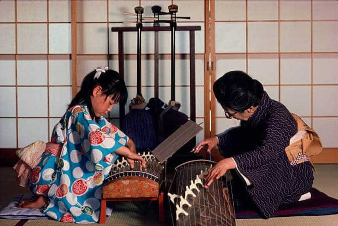traditional japanese instruments traditional japanese instruments