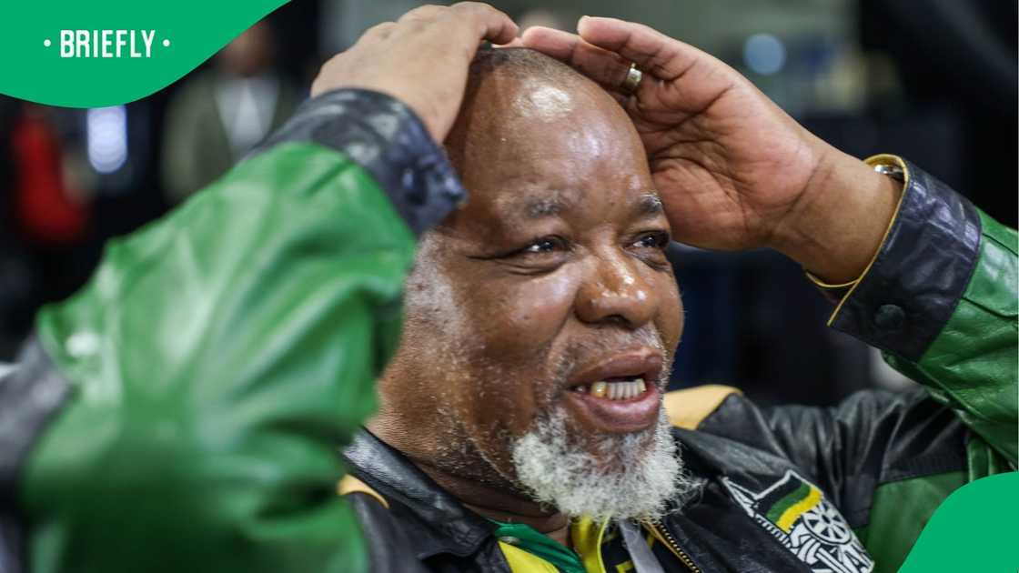 Gwede Mantashe has defended the government's approach.