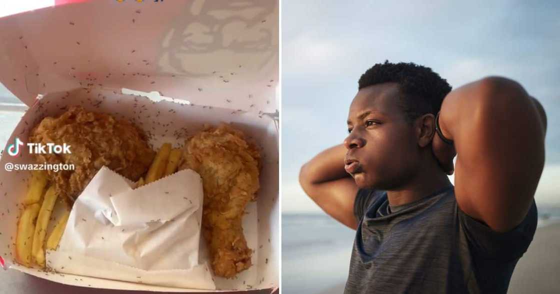 Ants all over left over KFC meal Ants all over left over KFC meal