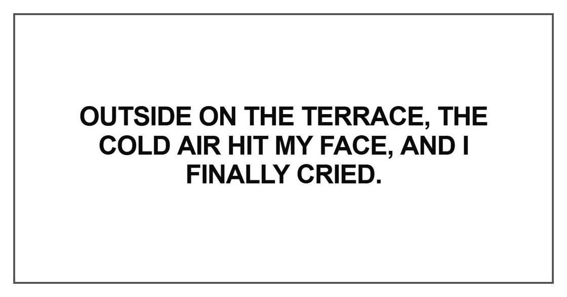 Outside on the terrace, the cold air hit my face, and I finally cried