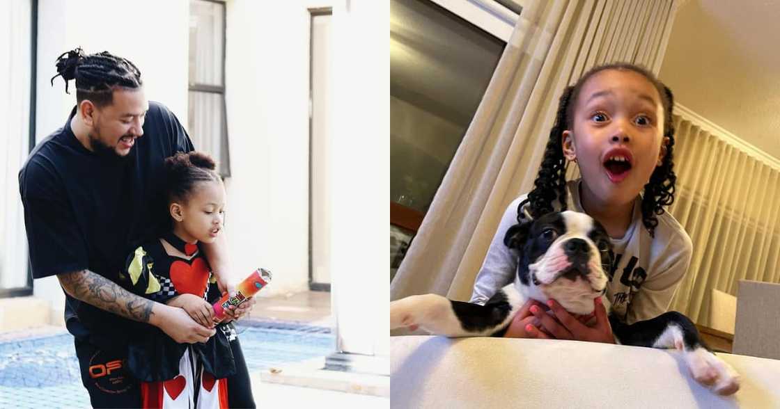 AKA, Kairo, Celebrity AKA, Kairo, Celebrity