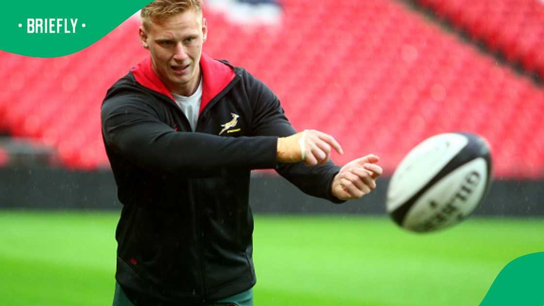 Springboks, Jean-Luc du Preez, South Africa Springboks, Jean-Luc du Preez, South Africa