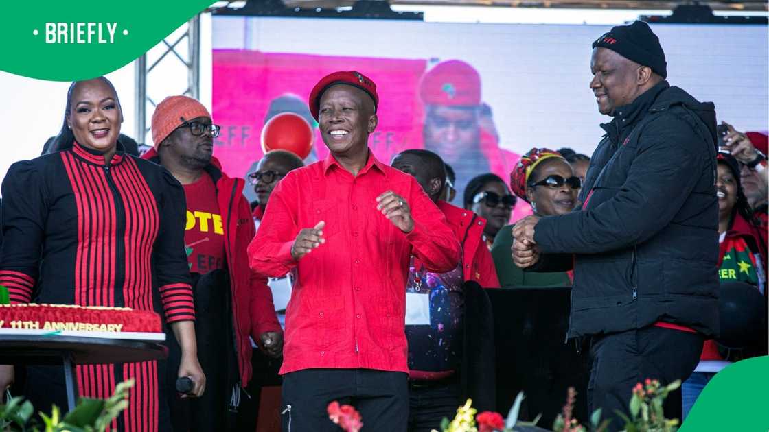 The EFF leader stated that to cut costs, the party would remove the deputy ministers The EFF leader stated that to cut costs, the party would remove the deputy ministers