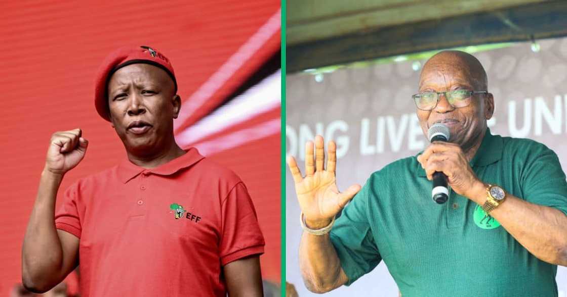 Julius Malema plans to have a conversation with Jacob Zuma Julius Malema plans to have a conversation with Jacob Zuma
