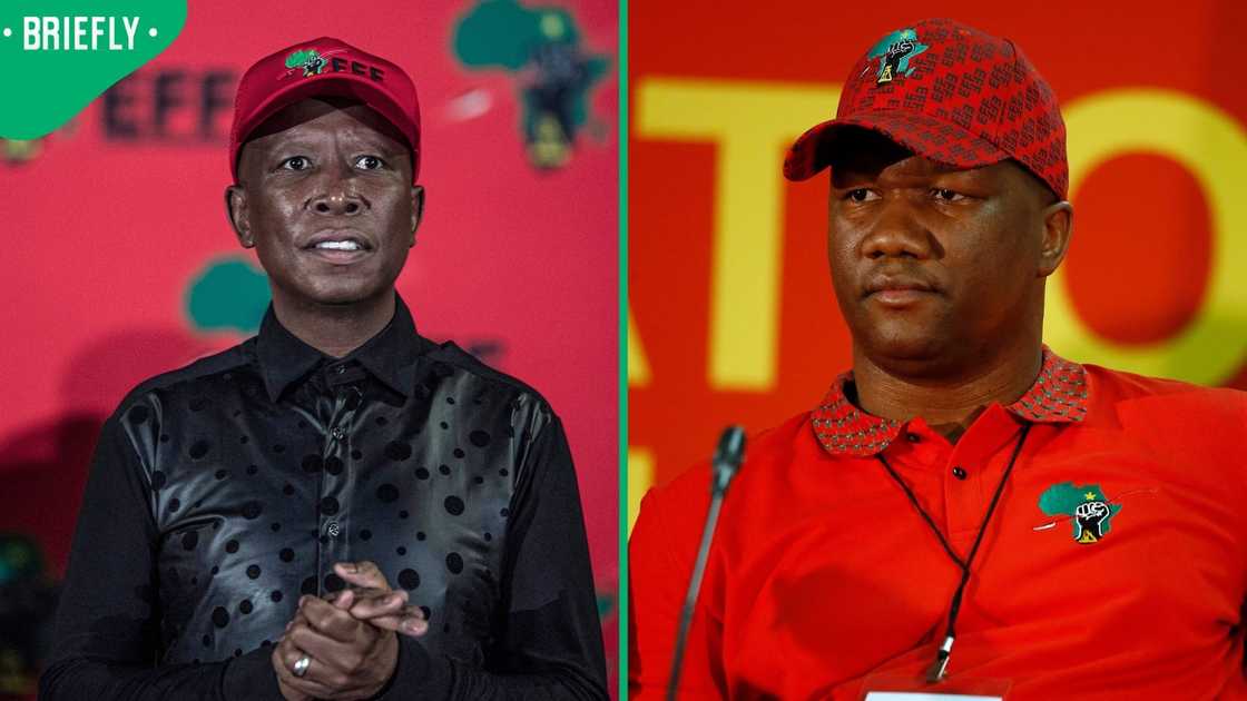 Marshall Dlamini responded to the allegations made against Julius Malema Marshall Dlamini responded to the allegations made against Julius Malema