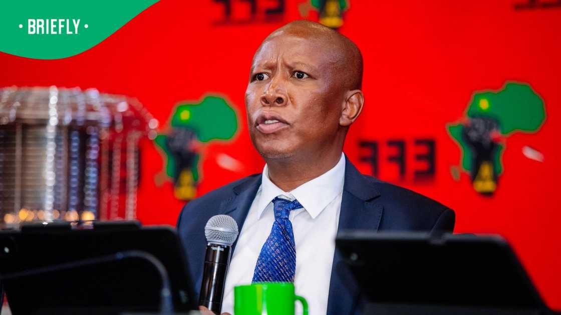 The Economic Freedom Fighters (EFF) president Julius Malema submitted an affidavit to the Madlanga Commission of Inquiry The Economic Freedom Fighters (EFF) president Julius Malema submitted an affidavit to the Madlanga Commission of Inquiry