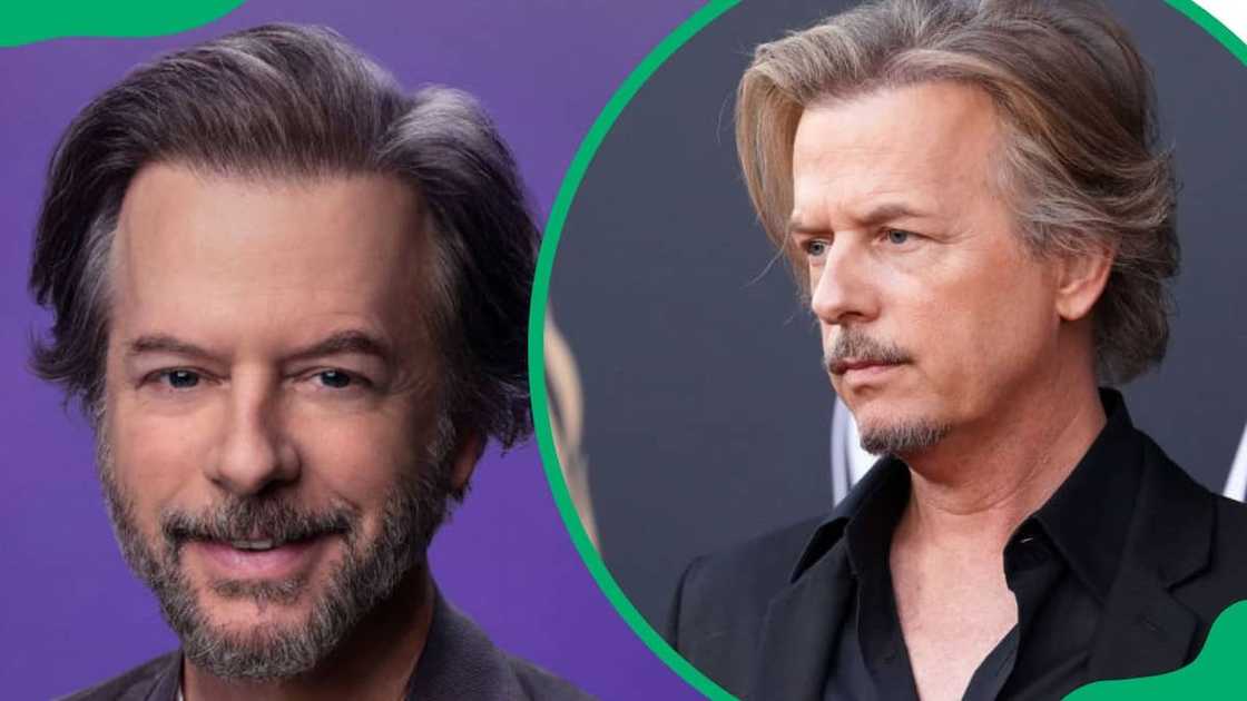 David Spade's wife David Spade's wife