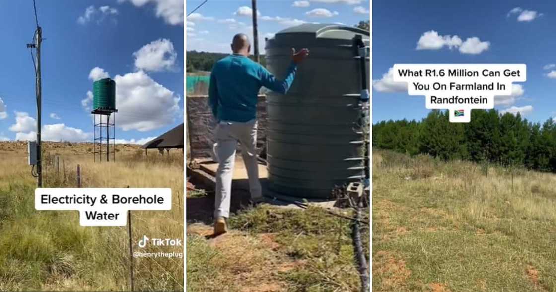 TikTok account @henrytheplug showed the lush 2-hectare plot of land in a video TikTok account @henrytheplug showed the lush 2-hectare plot of land in a video