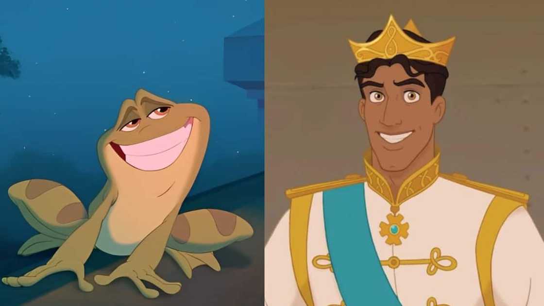 Prince Naveen from Disney's The Princess and the Frog Prince Naveen from Disney's The Princess and the Frog
