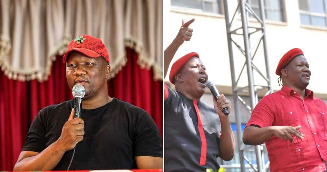 EFF says there is a plot to kill Marshall Dlamini EFF says there is a plot to kill Marshall Dlamini
