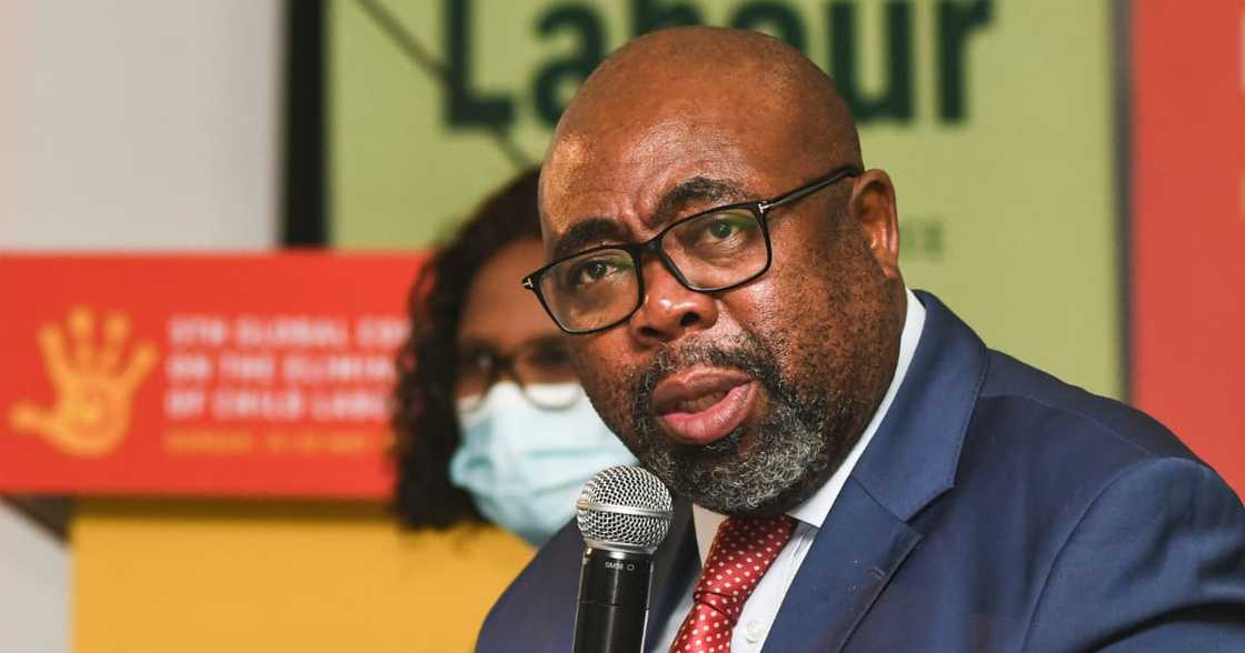 Acting Minister of Public Service and Administration Thulas Nxesi Acting Minister of Public Service and Administration Thulas Nxesi