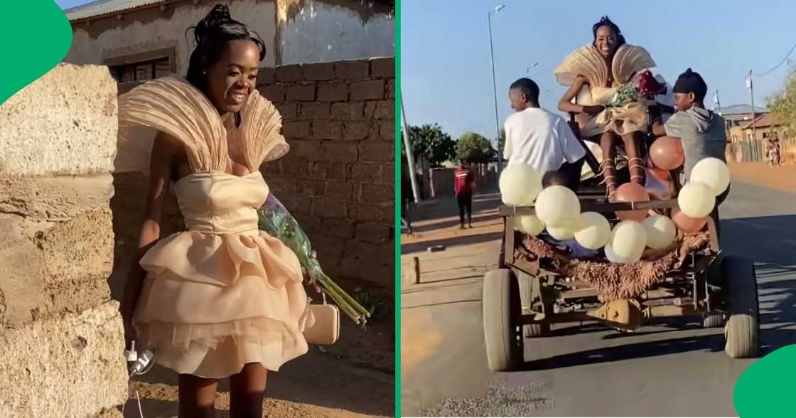 A learner used a donkey carriage to travel to her matric dance A learner used a donkey carriage to travel to her matric dance