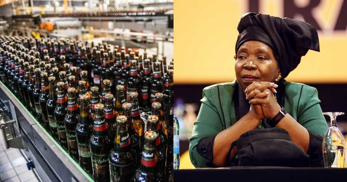 No alcohol this easter as Dlamini-Zuma extends booze ban to transportation No alcohol this easter as Dlamini-Zuma extends booze ban to transportation