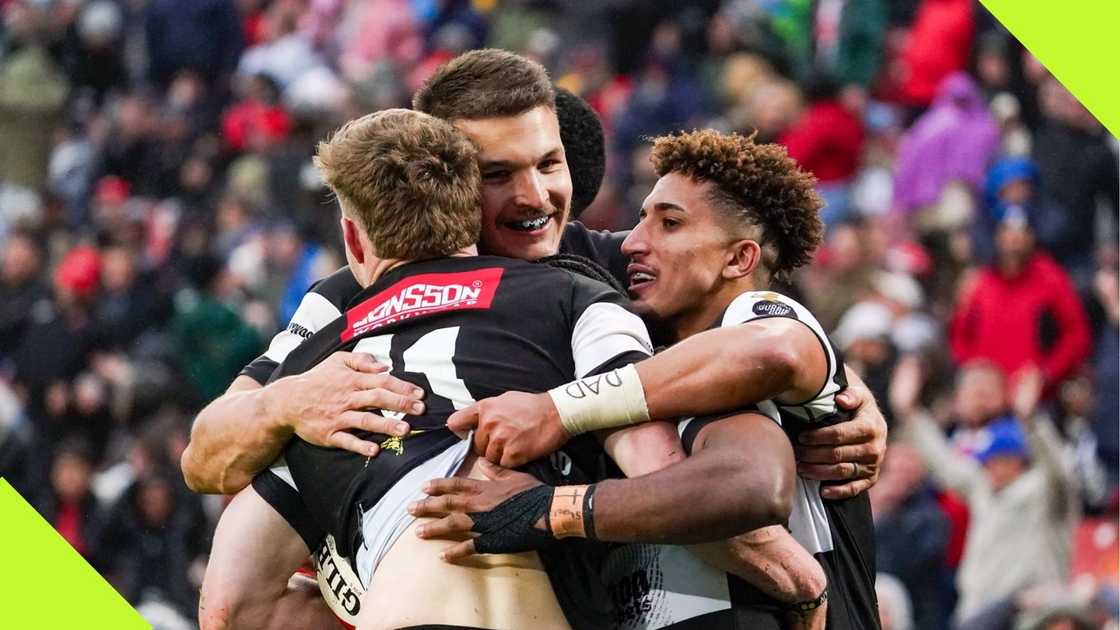 Sharks stars celebrate during the Currie Cup final against the Loins. Photo: Briefly News/ Willem Loock. Sharks stars celebrate during the Currie Cup final against the Loins. Photo: Briefly News/ Willem Loock.