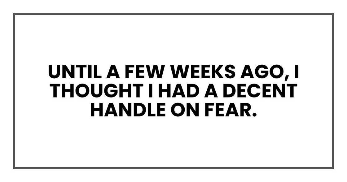 until a few weeks ago, I thought I had a decent handle on fear.