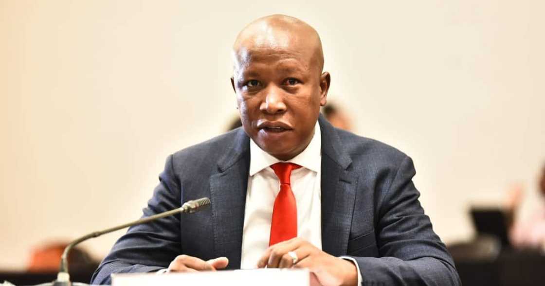 Acting Chief Justice Raymond Zondo, Julius Malema, reactions, interview Acting Chief Justice Raymond Zondo, Julius Malema, reactions, interview